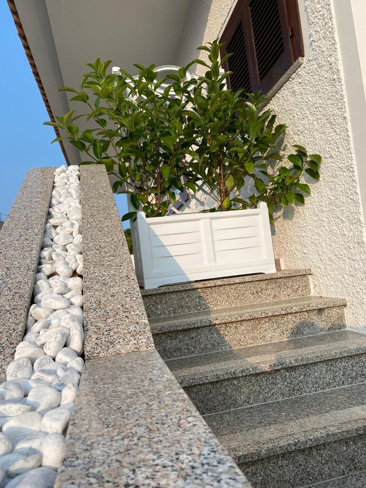 Villa Da Rosa Olbia Exteriér fotografie